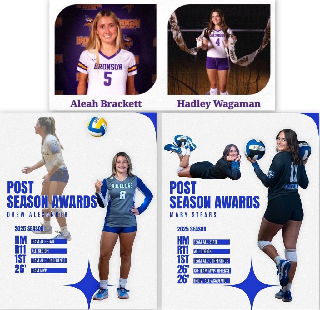 Bronson, Centreville players named All State in volleyball